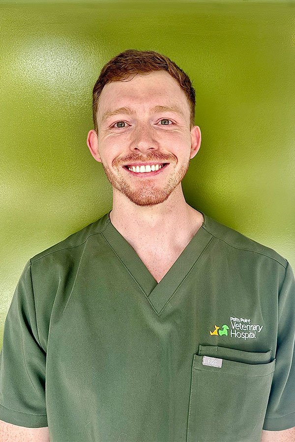 Meet Our Team - Kyle