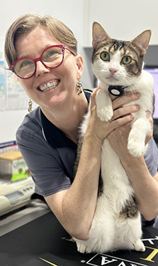 Meet Our Vets - Dr Anne