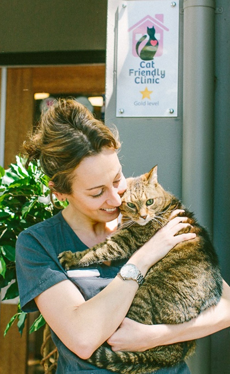 Potts Point Vet - Cat Friendly Clinic